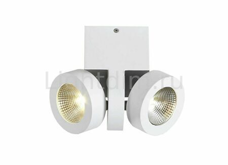 Накладной потолочный светильник DL18698/12WW-White